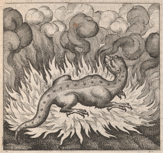 A salamander with stars in a line down his back and large claws is engulfed in fire and smoke.