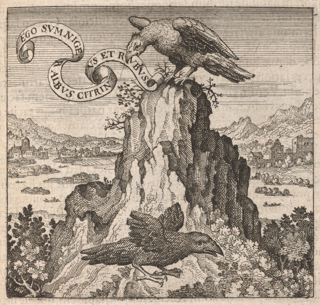 A vulture is perched on a rocky crag holding a banderole in its beak. The Latin inscription on the banderole reads, “I am black, white, yellow, and red.” Below the vulture a raven is flying. Behind the rocky crag is a lake, mountains, and cityscape.